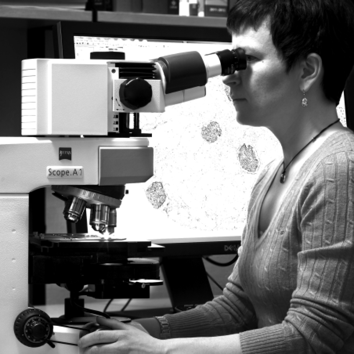 Atlas Antibodies Selects Microsoft Dynamics 365 And Partner Implema
