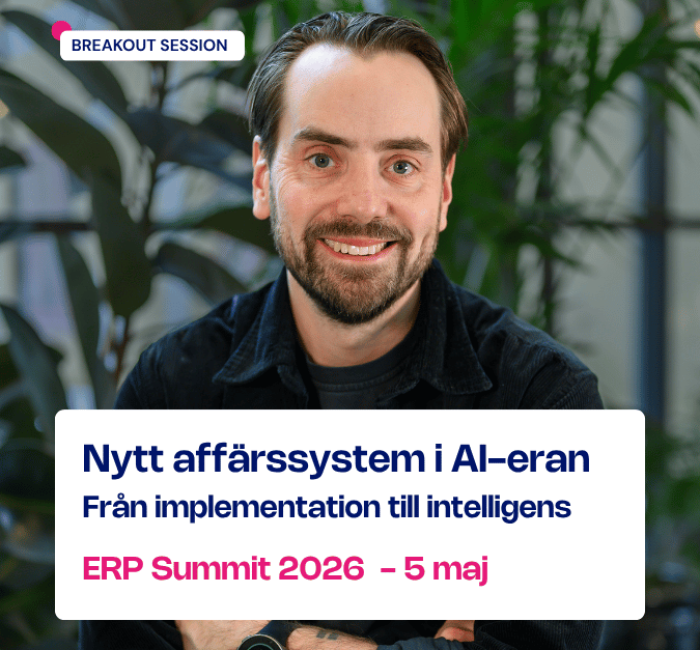 ERP Summit Mats Stegemann Implema