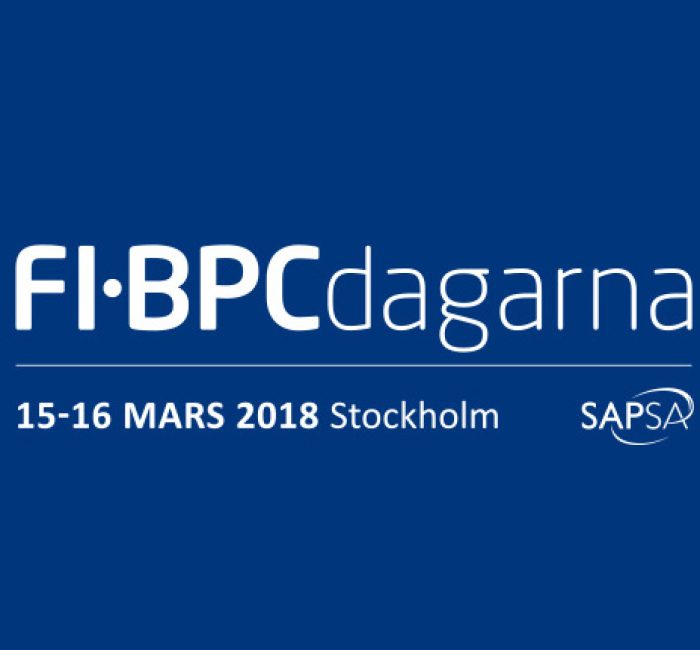 Ejendals Och Implema Pa SAPSA Ekonomirapportering I S 4HANA