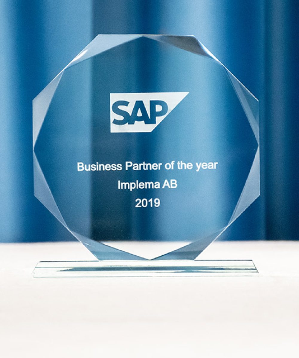 SAP Business Partner of the year