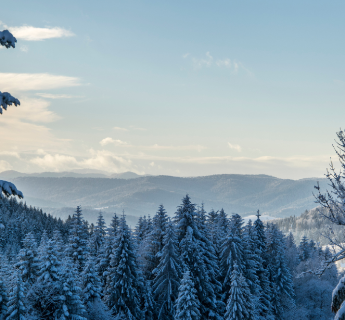 Implema Julhälsning 2023