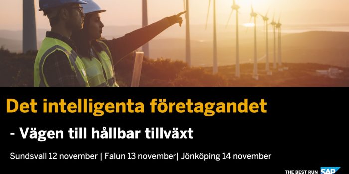 Implema Med Pa SAP Roadshow 12 14 Nov