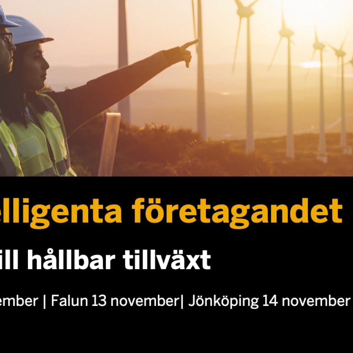 Implema Med Pa SAP Roadshow 12 14 Nov