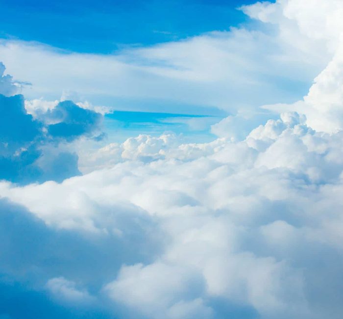 Implema 594316757 1x1