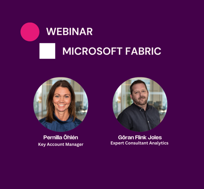 Microsoft Fabric After Webinar Image For Web Page