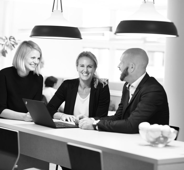 SAP Lanserar Nytt Affarssystem I Molnet Helt Pa Svenska