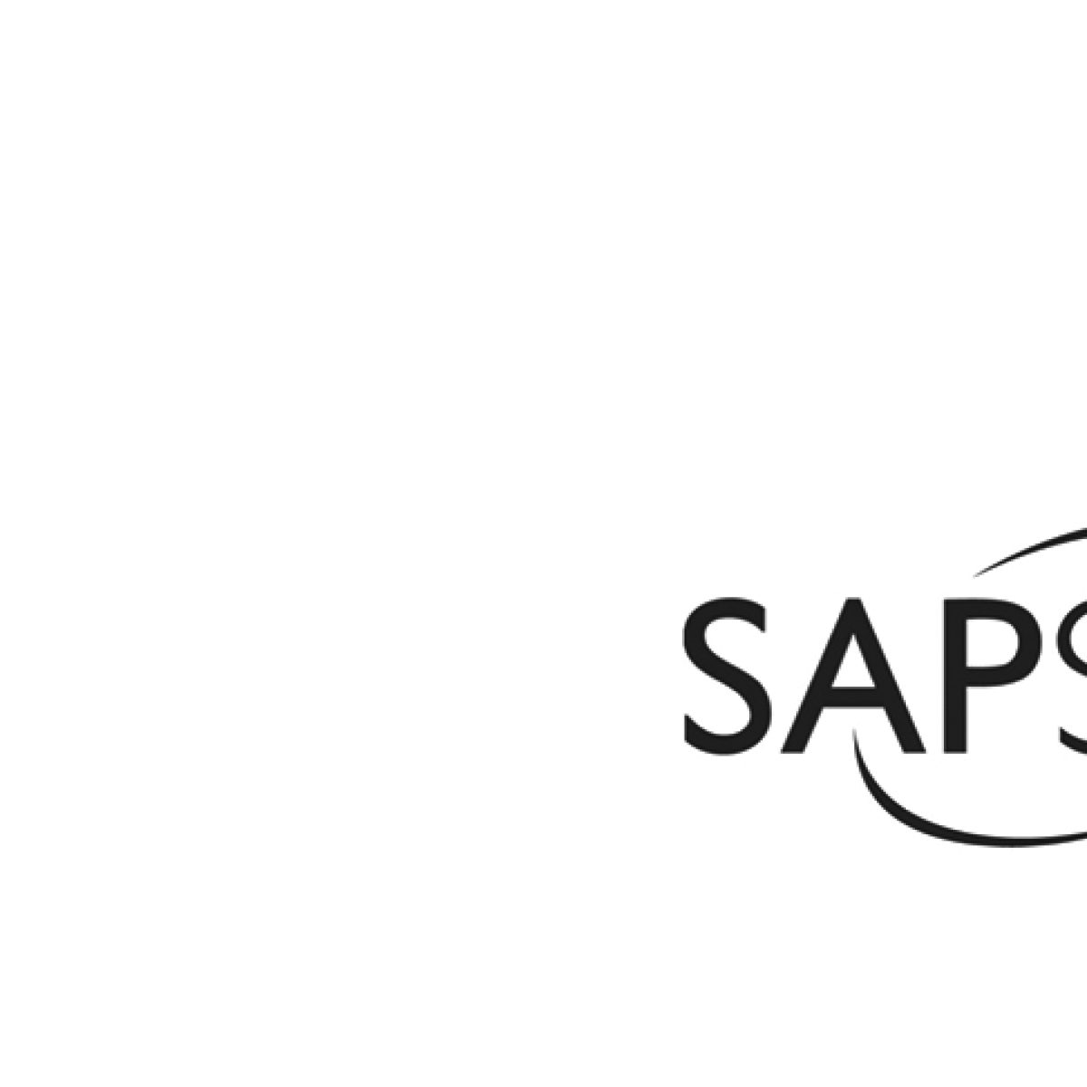 SAPSA Fokusgruppsmote Med Fokus Pa SAP Embedded Analytics