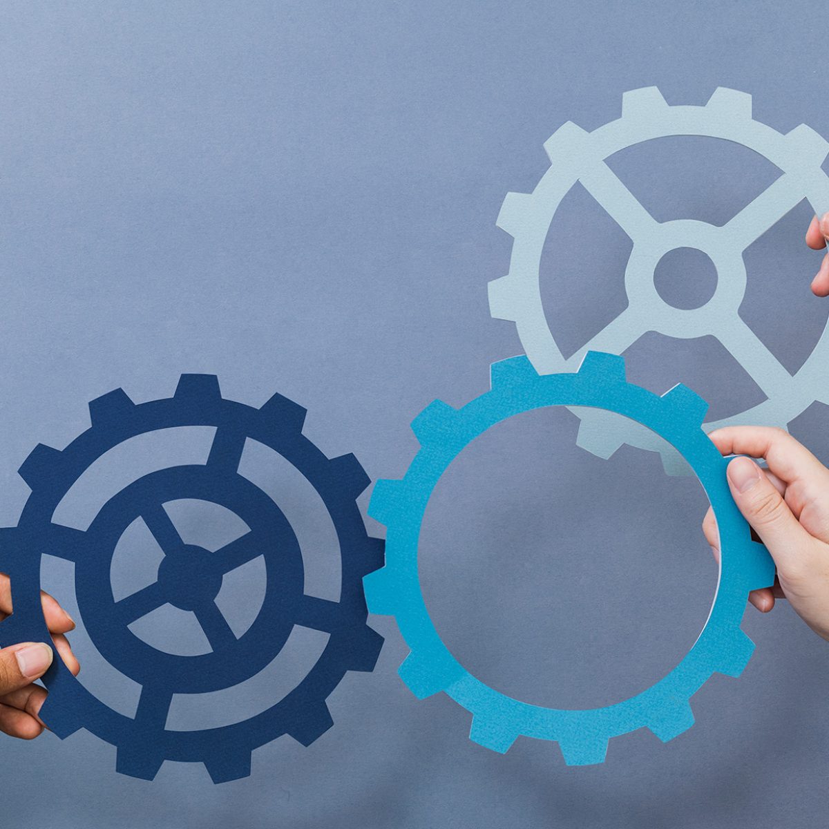 Cogwheel Business Productivity Symbol Held By Hands Downscale